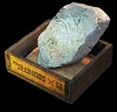 Fossil Fragments