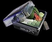 Higashinese Bento
