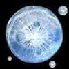 Living Cells
