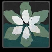 Pure-White Petals
