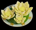 Royal Lotus Biscuits