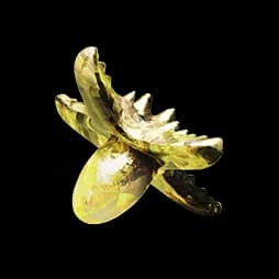 Aketine Seed
