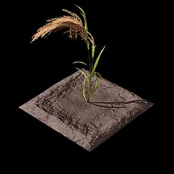 Amber Rice Plot (Formula)