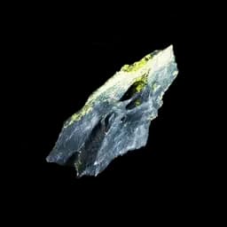 Blightshade Bezoar