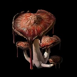Bloodcap