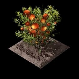 Buckflower Plot (Formula)