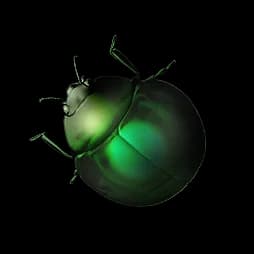 Glowbug