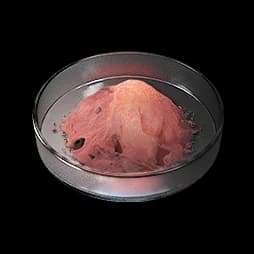 Ground Buckflower Powder