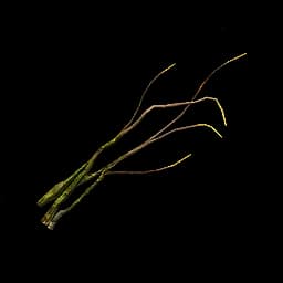 Nidwyrm Whiskers