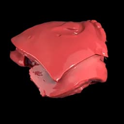 Quillbeast Liver
