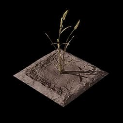 Reed Rye Plot (Formula)