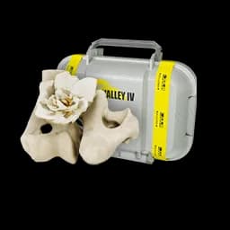 Seš'qamam Knucklebones (pkg)