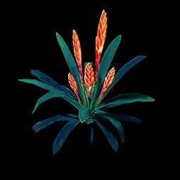 Thorny Yazhen