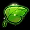 Pale Leaf