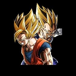 Fused Super Power Super Saiyan Goku & Super Saiyan Vegeta