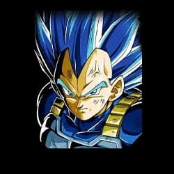 True Warrior Race Super Saiyan God SS Evolved Vegeta