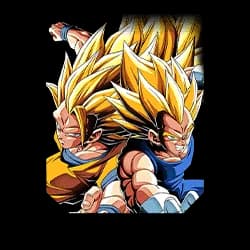 Universe's Last Hope Super Saiyan 3 Goku & Super Saiyan 2 Vegeta