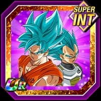 Divine Combat Begins Super Saiyan God SS Goku/ Super Saiyan God SS Vegeta