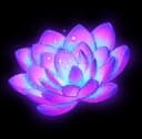 Ethereal Bloom