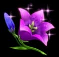Flortuga Flower