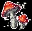 Fly Agaric