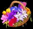 Modest Bouquet