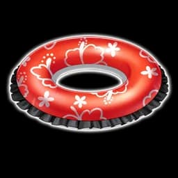 Swim Ring