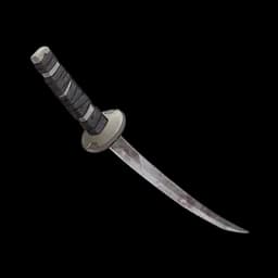 A Discarded Blade