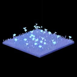 Blanket of Stars