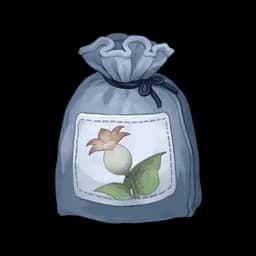 Calla Lily Seed
