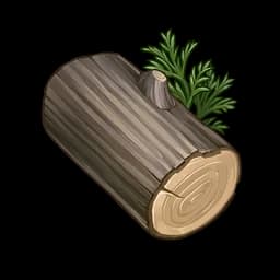 Cypress Wood