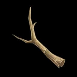 Dry Firewood