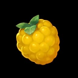 Fresh Berries