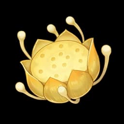 Fresh Nilotpala Lotus