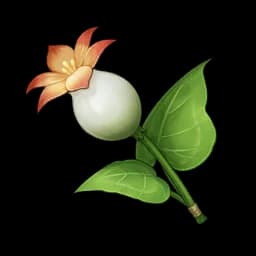 Freshly-Picked Calla Lily