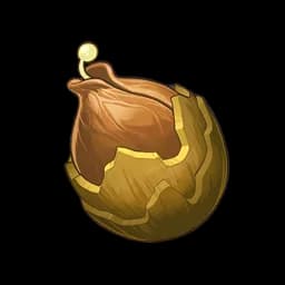 Golden Rose Seeds