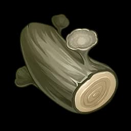 Hazelnut Wood