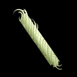 Lantern Fiber