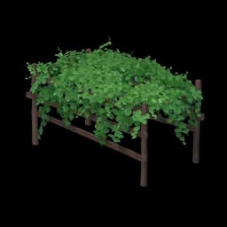 Lush Grapevine
