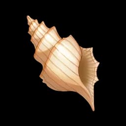 Mysterious Conch