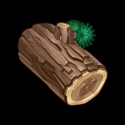 Pine Wood