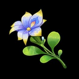 Pluie Lotus