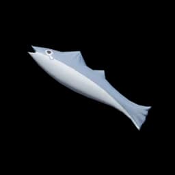 "Prince's Weeping Fish"