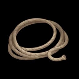 Rope