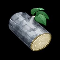 Silver Fir Wood