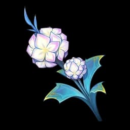 Snowball Flower
