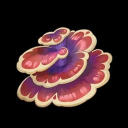 Strange Mushroom