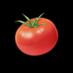 Tomato