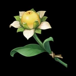 Very Ordinary-Looking Sweet Flower