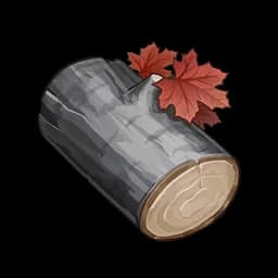 White Birch Wood